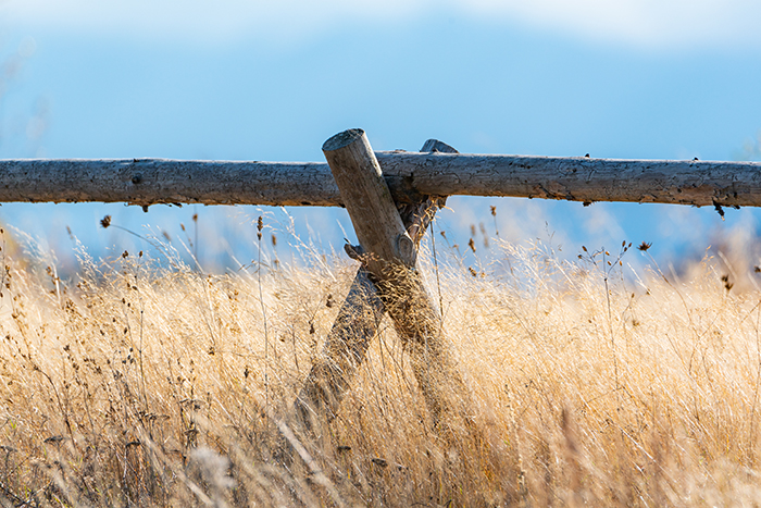 wood fence