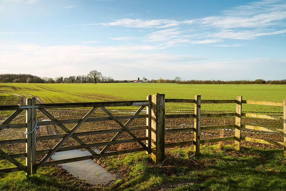 farm fence